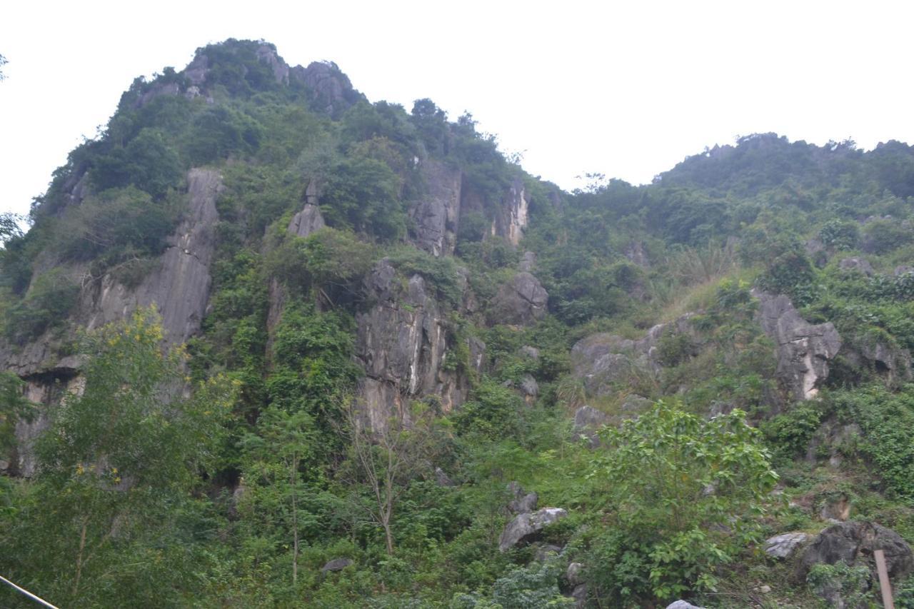 Phong Nha Homestay Esterno foto